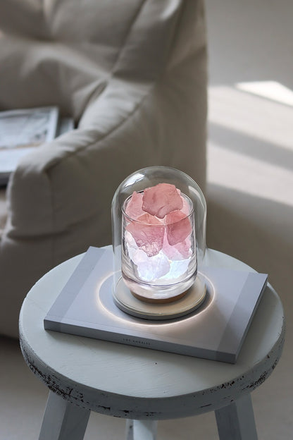 bedside lamp